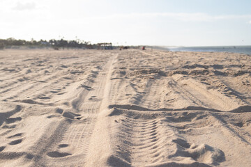 Retrato da areia da praia destacada pelas marcas de pneu dos boogies locais . Em Touros/RN, Brasil.