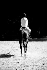El arte de montar a caballo
