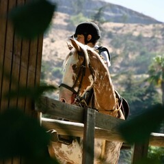 Caballo, los 500kg de aprendizaje, belleza y nobleza que el ser humano tiene la fortuna de...