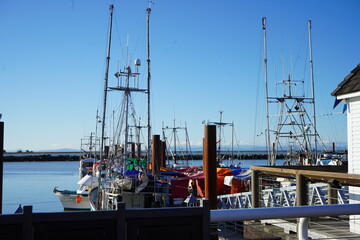 スティーブストン　フィッシャーマンズワーフ　港　漁港　海　バンクーバー　観光　旅行　カナダ　楽しい　買い物　魚市場