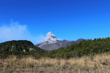 Fototapeta premium 噴煙を上げる桜島