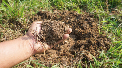 Farmers catch old manure for Make compost to nourish plants and vegetables grown in organic farming gardens.
