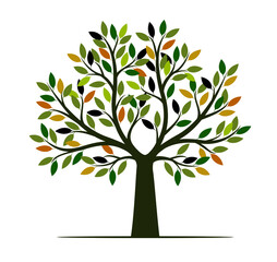 Obraz premium Colour Tree. Vector Illustration.