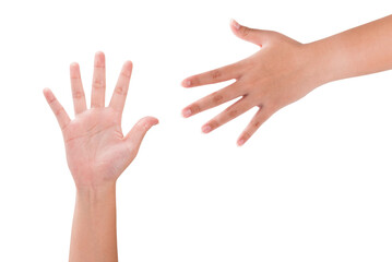 Hands isolated on white background.