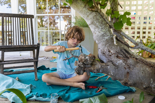 Boy (8-9) using hammer to build&nbsp;treehouse