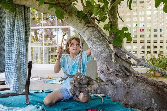 Boy (8-9) using hammer to build&nbsp;treehouse