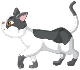 A cat walking on white background