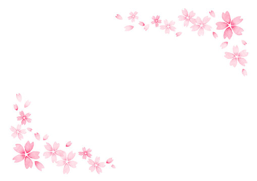 桜の花びらのフレーム　水彩　手書き　コピースペース　テンプレート　白背景　水彩絵具　シンプル