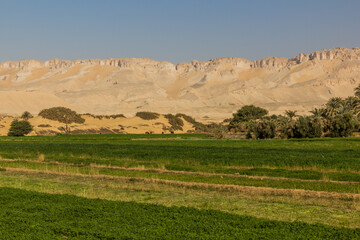 Fototapeta premium View of Dakhla oasis, Egypt