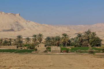 View of Dakhla oasis, Egypt