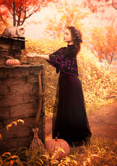 A 3d digital rendering of a young woman in a fairytale setting reaching out to a cat sitting on the roof of a shed. There is a pumpkin and broom in the autumn setting.