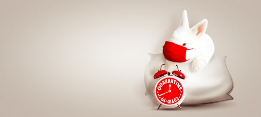 Easter rabbit with medical mask at epidemic time