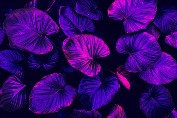 tropical leaves background, dark blue purple toned