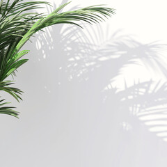 Fototapeta na wymiar Tropical green house plants casting shadow on clean outdoor white wall. 3D render for nature backdrop, blank wall background banner, sun and shadow, interior and garden design decoration.