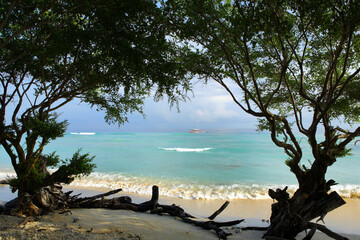 trees on the beach,Southeast Asia.Gili islands.Sea view through the trees.Clean beach.Crystal clear sea.