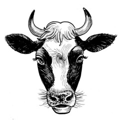 Cow head. Ink black and white drawing
