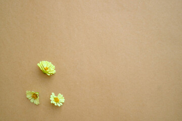 Beautiful flower flat lay arrangement on brown background. Flat lay bouquet, top view, overhead, empty space for copied text.