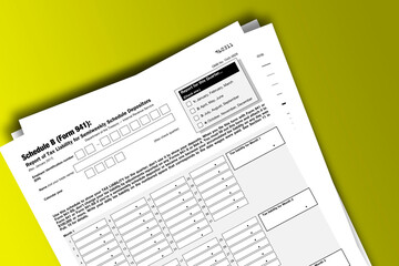 Naklejka na ściany i meble Form 941 (Schedule B) documentation published IRS USA 42738. American tax document on colored