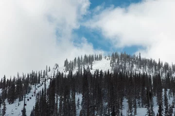 Afwasbaar Fotobehang Mistig bos Monarch Mountain Ski Area, Colorado