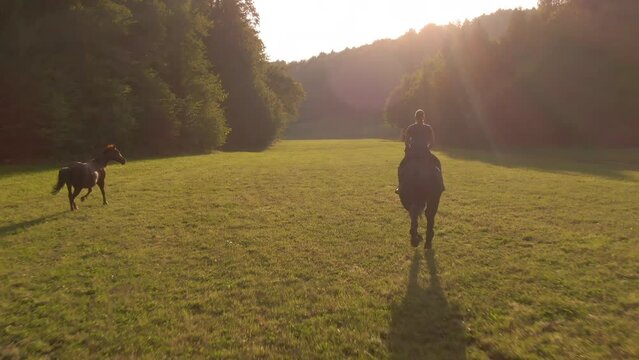 AERIAL, LENS FLARE: Golden summer evening sunbeams shine on an Caucasian woman horseback riding across a vast meadow. Cinematic drone point of view of female horseback rider galloping at sunrise.