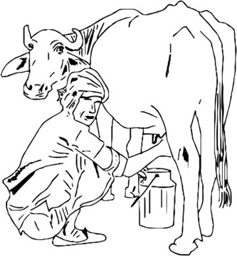 Line art illustration indian village man milking the cows, Outline sketch of indian village man with cow