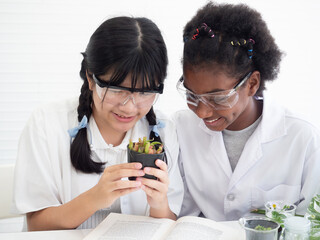 Asian girl and African American girl scientists learning and doing analysis plant with glassware in the laboratory. Scientific experiment and Research concept.