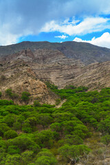 A green valley amidst barren mountains around the village of Villa Vil, on the road to the Cuesta...