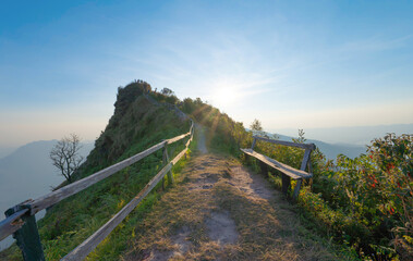 Fototapeta premium Phu Chi Dao, Chiang Rai, Thailand with forest trees and green mountain hills. Nature landscape background.