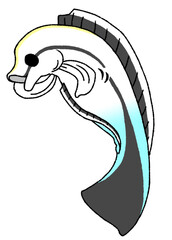 横になってお腹をかくだらけるホンソメワケベラ