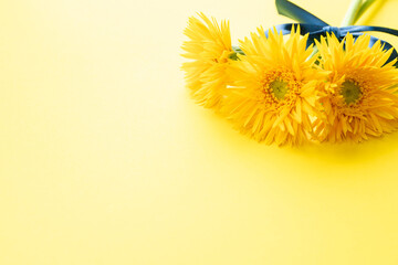 黄色い花　ガーベラ　夏　父の日　カード