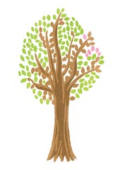 Fototapeta premium tree with green leaves