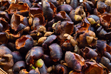 Dried mangosteen peel. Close up