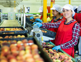 Confident latina females working on sorting line at fruits industrial production facility