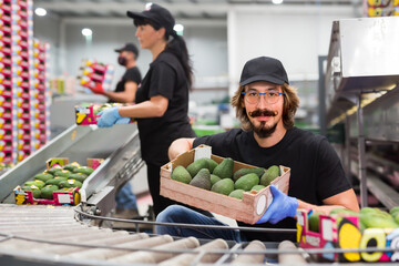 Fototapeta premium Fine workers sort mango fruits on conveyor belt in a factory
