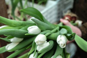 A greenhouse worker cuts white tulips in the greenhouse for sale.Small business.Spring concept,gardening.Women's and Mother's Day.Hands close up,selective focus.