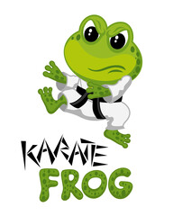 Cute cartoon illustration of karate frog character