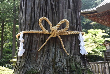 The culture and tradition of Japanese shrines Shimenawa. Shimenawa is a sacred rope of ric-straw.It separetes a holy place from other unclean places and is concidered a barrier against evil sprits. 