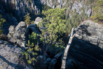 Sandsteinfelsen, Elbsandsteingebirge, Rathen, Sachsen, Deutschland