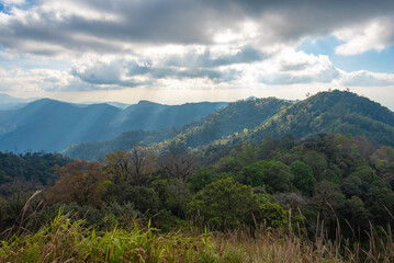 on the top of mountain peak in Thailand. rainforest in winter season with mountain range, pine tree in the jungle. stunning landscape in the world. south east Asia nature with national park. camping.