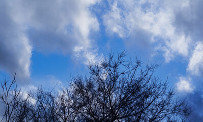  blue sky and white clouds