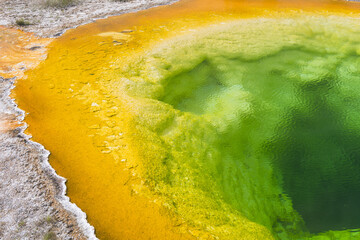 Morning glory pool in Yellowstone National Park
