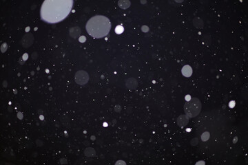 Obraz premium Snow on a black background. Snowflakes for overlay. Snow background.