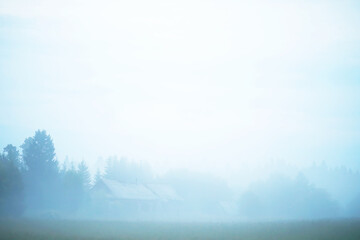Fototapeta premium Fog in the field. Evening nature summer with white fog.