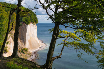 Fototapeta premium Kreideküste auf Rügen 