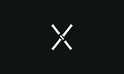 Fototapeta na wymiar Alphabet letter icon logo X