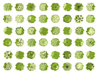 Fototapeta premium Trees for the plan. Tree for architectural floor plans. Entourage design. Various trees, bushes, and shrubs, top view for the landscape design plan. Vector illustration.
