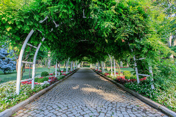 a cobblestone paved flowery road covered with greenery