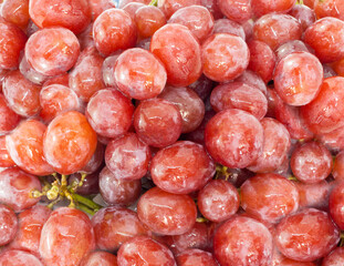 Close-up. Pile up of fresh red grapes, and water droplets on the fruit.