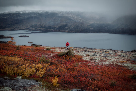 View of the northern lakes from the hills in autumn, nordic autumn