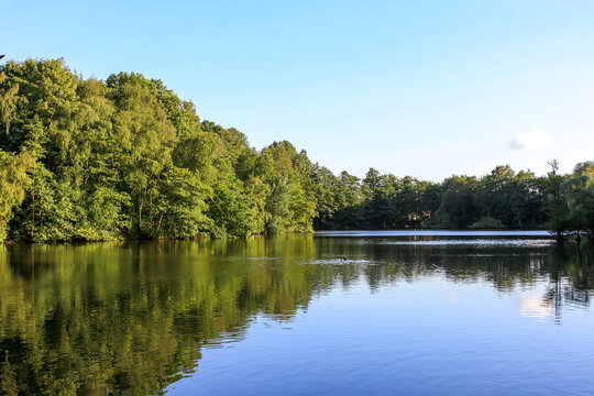 View of lake and trees in forest in Itzehoe, Germany with mirror reflection in calm water surface and clear blue sky background. No people.